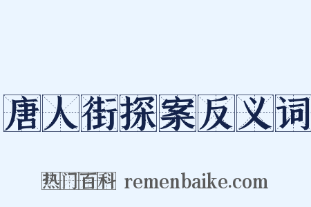 唐人街探案反义词是什么意思的图片